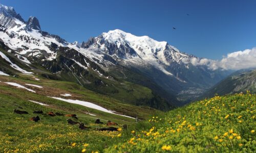 Mont Blanc od strony włoskiej – czym zachwyca i dlaczego warto go zobaczyć?